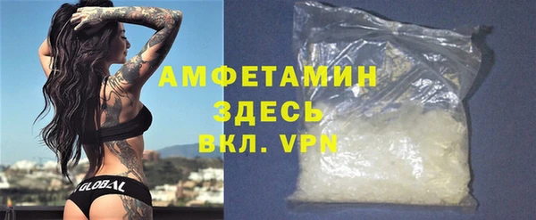 сатива Богданович
