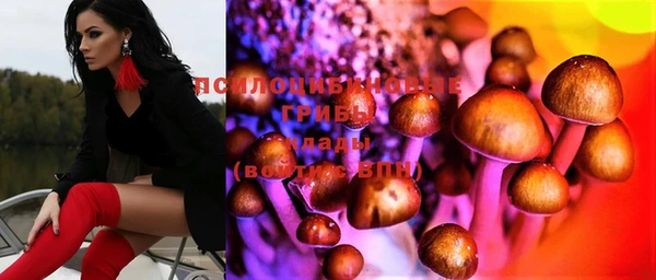 сатива Богданович