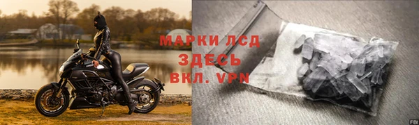 сатива Богданович