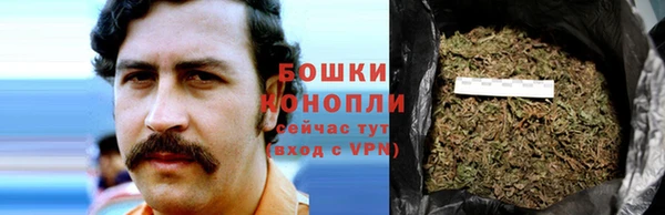 шишки Богородск