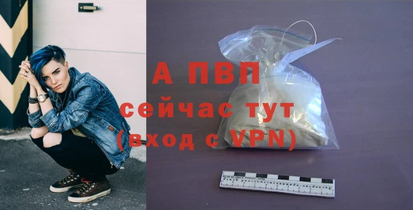 сатива Богданович
