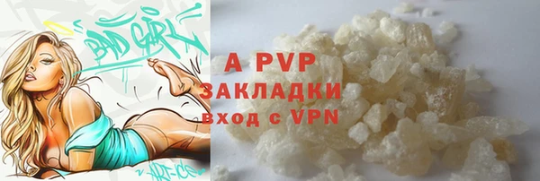 сатива Богданович