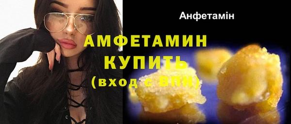крисы Богородицк