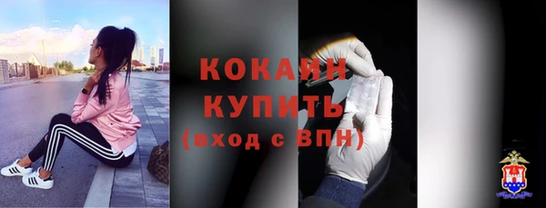шишки Богородск