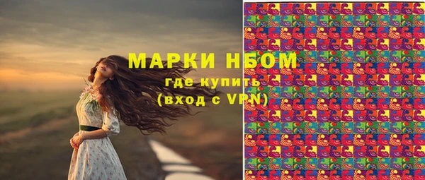 крисы Богородицк