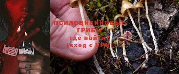 шишки Богородск