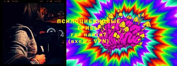 крисы Богородицк