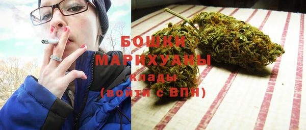 крисы Богородицк