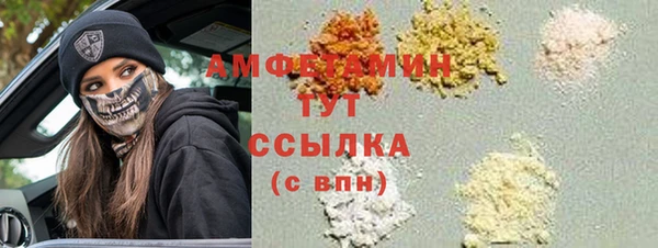 сатива Богданович
