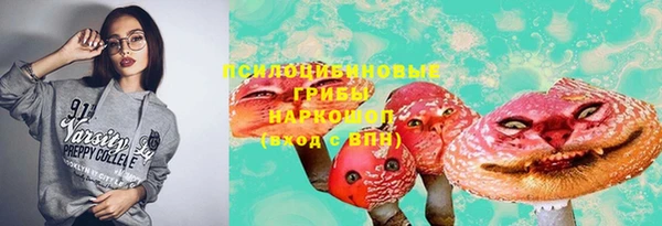 шишки Богородск